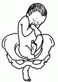 http://hetv.org/resources/reproductive-health/impac/Images_P/fig27foo.gif